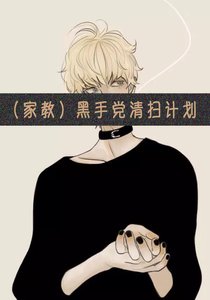 (家教同人)(家教)黑手党清扫计划