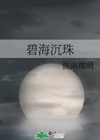 碧海沉珠