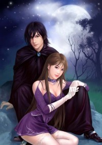 傅先生的老婆粉